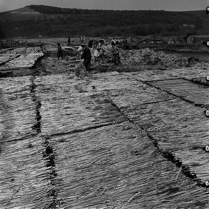 minerva_1970_Agrare_c1_c2r2_012