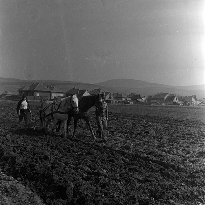 minerva_1970_Agrare_c1_c2r2_015