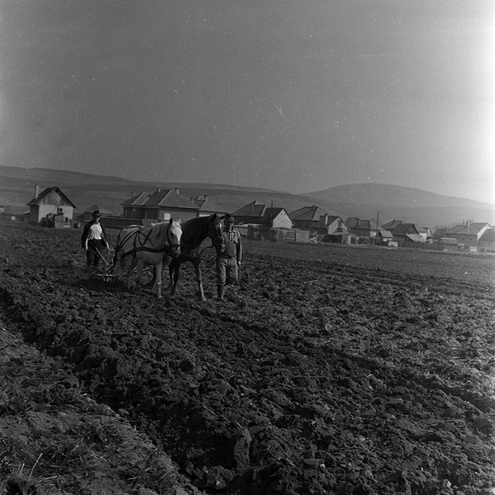 minerva_1970_Agrare_c1_c2r2_016