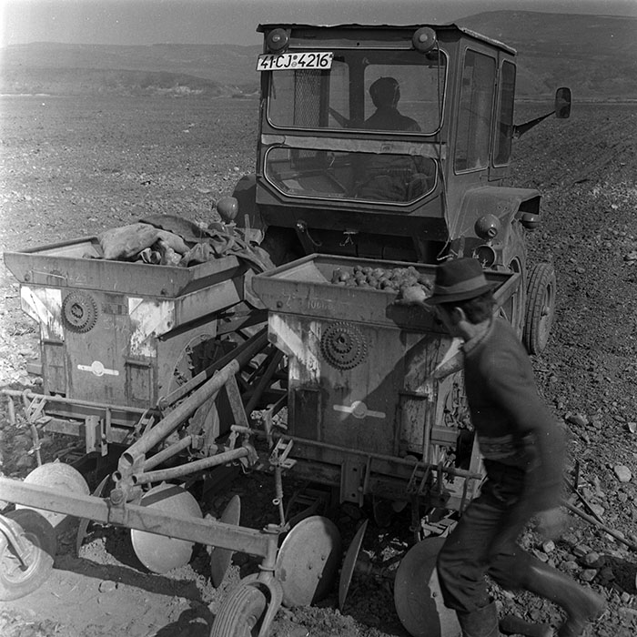 minerva_1970_Agrare_c1_c2r2_019