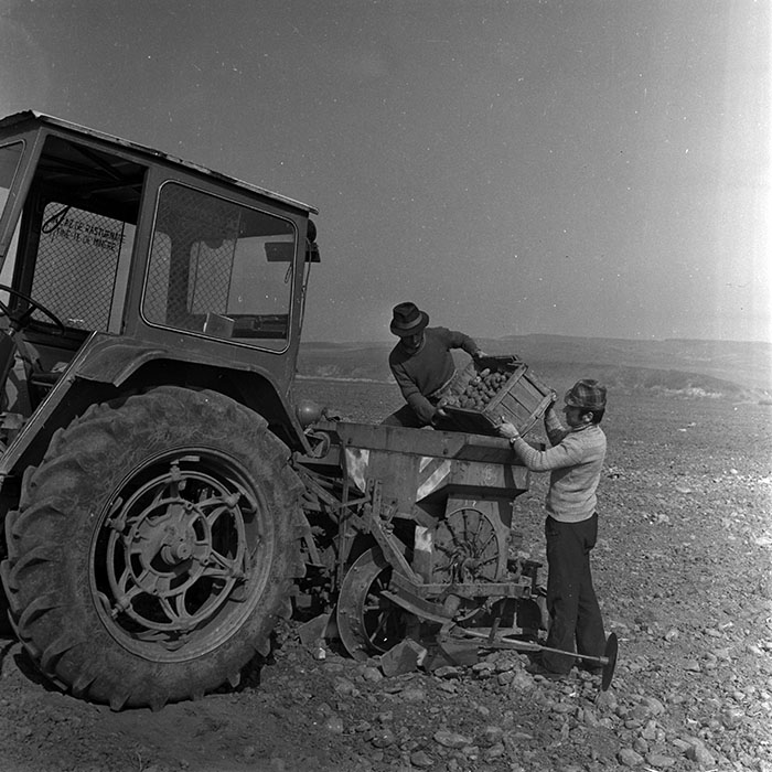 minerva_1970_Agrare_c1_c2r2_020