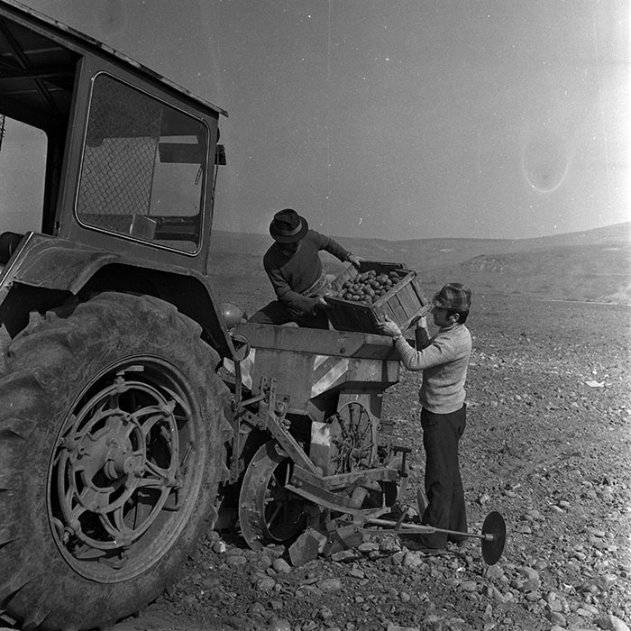 minerva_1970_Agrare_c1_c2r2_021