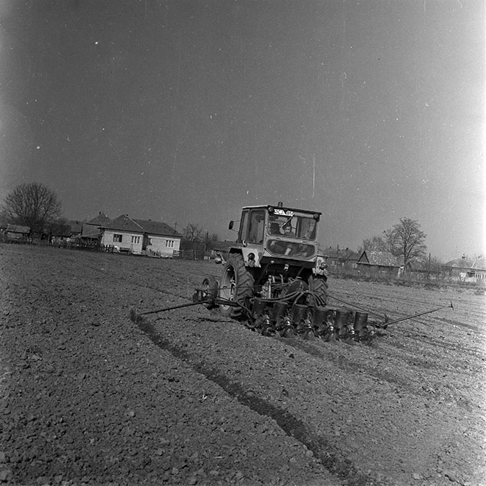 minerva_1970_Agrare_c1_c2r2_022