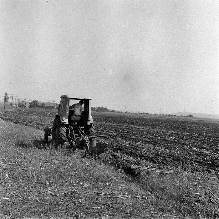 minerva_1970_Agrare_c1_c2r3_001