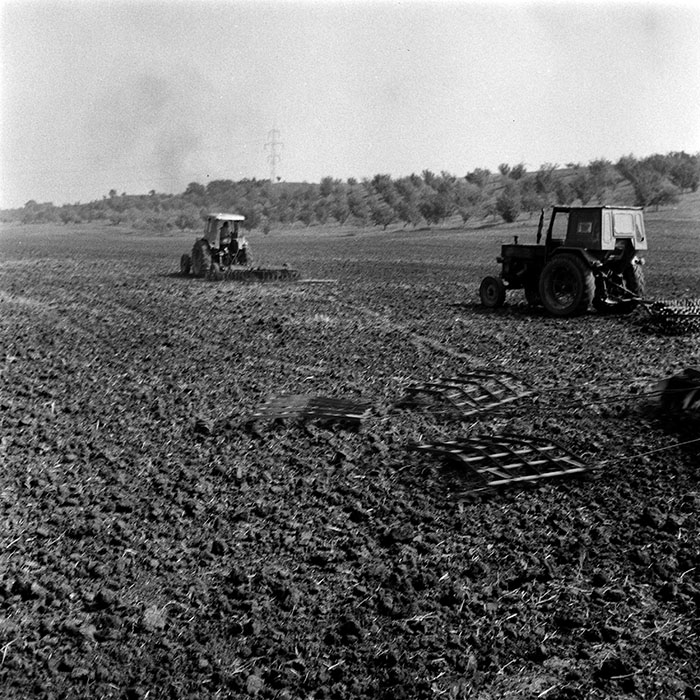 minerva_1970_Agrare_c1_c2r3_003