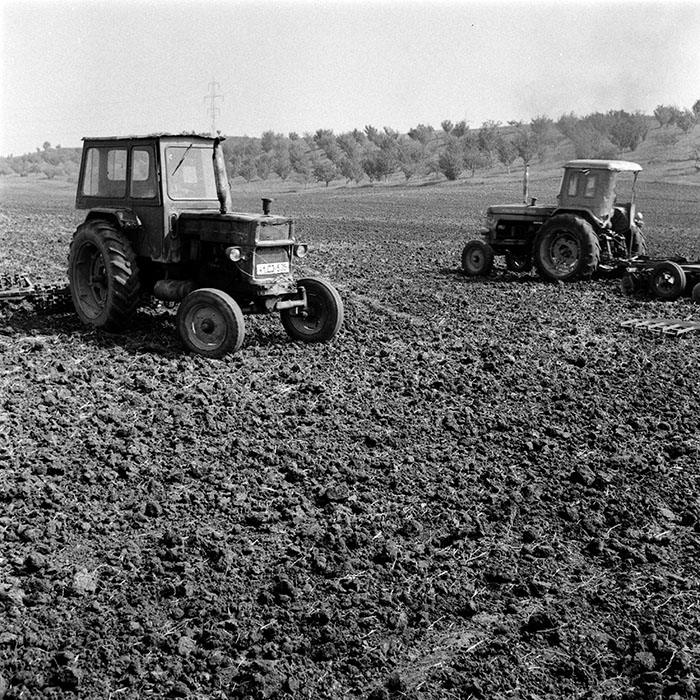 minerva_1970_Agrare_c1_c2r3_004