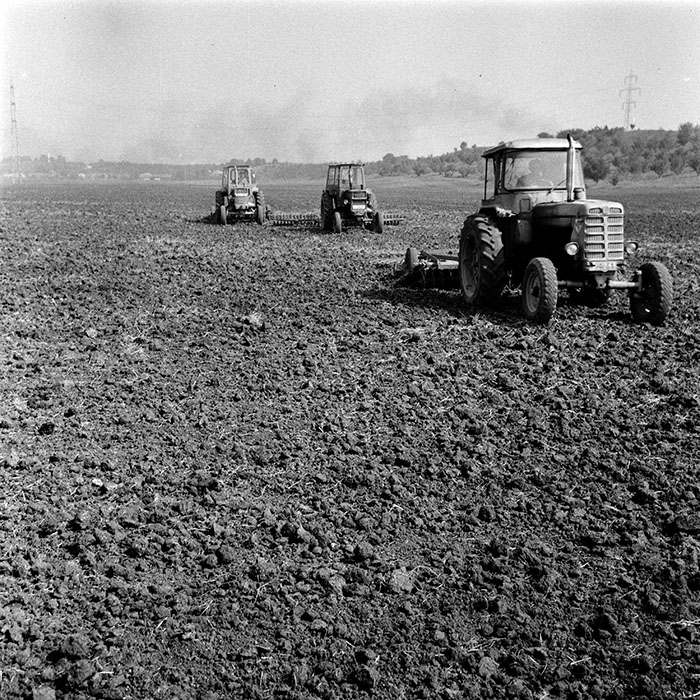 minerva_1970_Agrare_c1_c2r3_005