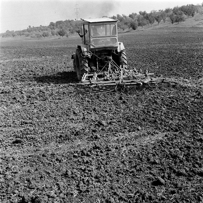 minerva_1970_Agrare_c1_c2r3_006