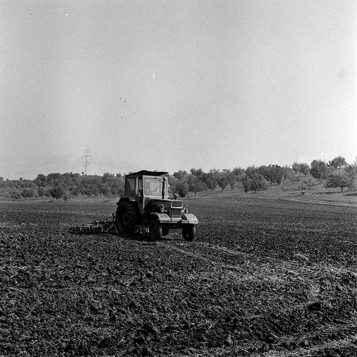 minerva_1970_Agrare_c1_c2r3_007