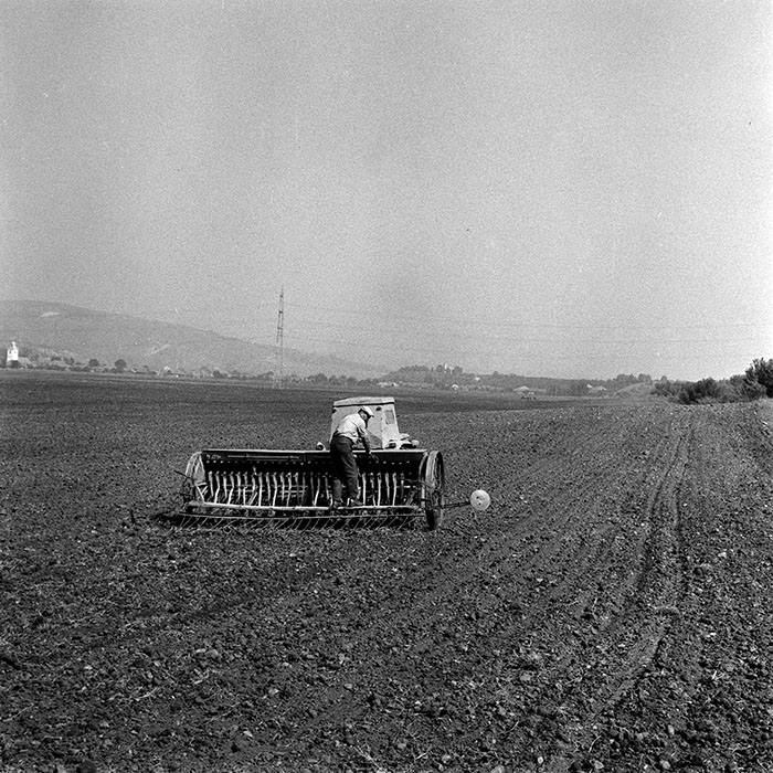 minerva_1970_Agrare_c1_c2r3_008