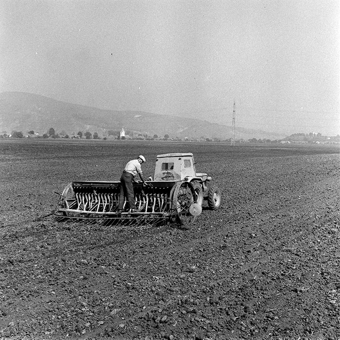 minerva_1970_Agrare_c1_c2r3_009