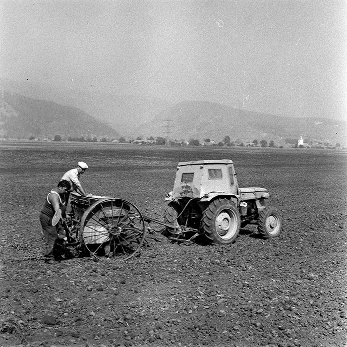 minerva_1970_Agrare_c1_c2r3_011