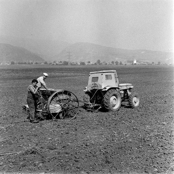 minerva_1970_Agrare_c1_c2r3_012