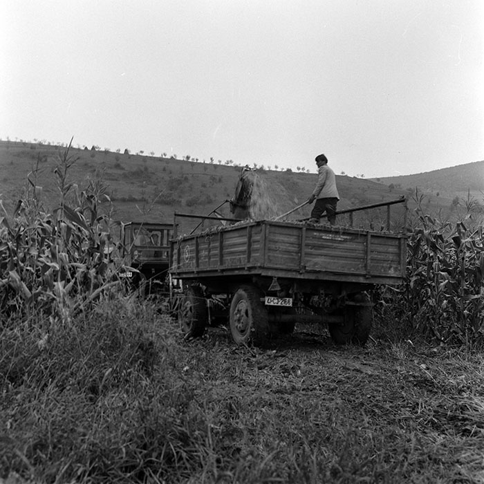 minerva_1970_Agrare_c1_c2r3_013