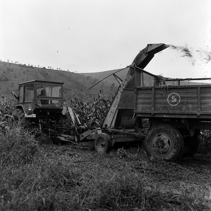 minerva_1970_Agrare_c1_c2r3_014