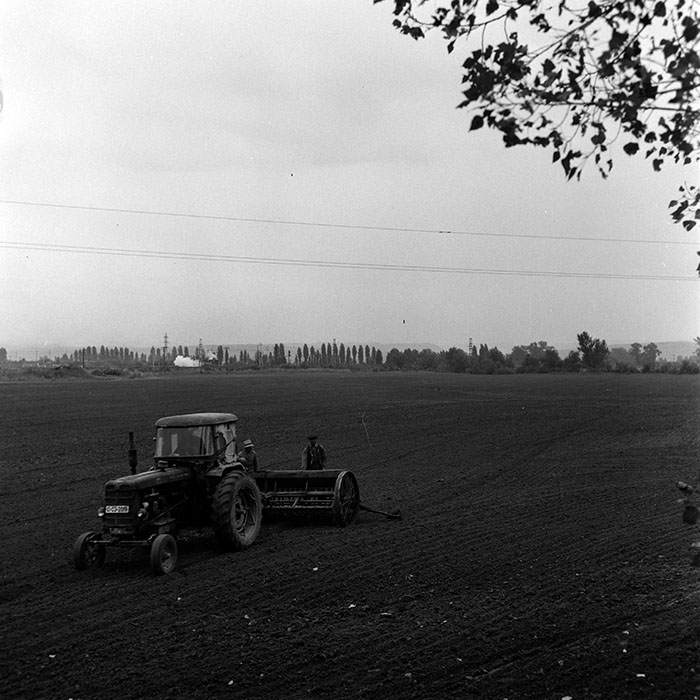minerva_1970_Agrare_c1_c2r3_015