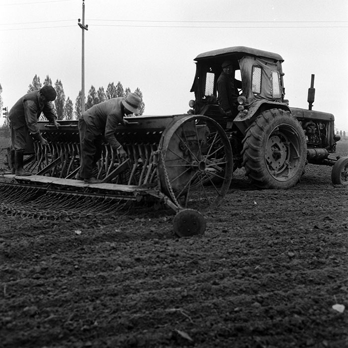 minerva_1970_Agrare_c1_c2r3_016