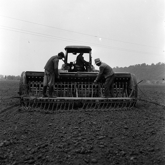 minerva_1970_Agrare_c1_c2r3_017