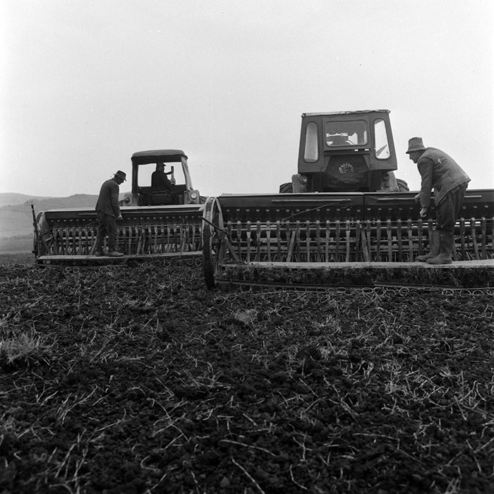 minerva_1970_Agrare_c1_c2r4_002