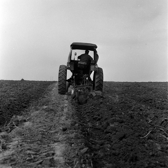 minerva_1970_Agrare_c1_c2r4_004