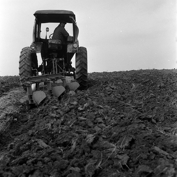 minerva_1970_Agrare_c1_c2r4_005