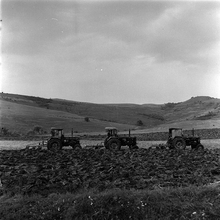 minerva_1970_Agrare_c1_c2r4_006