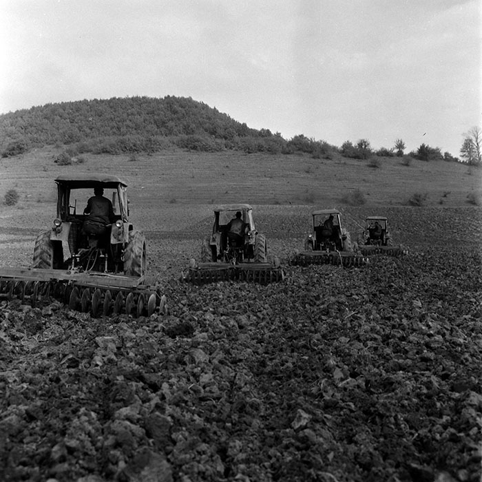 minerva_1970_Agrare_c1_c2r4_007