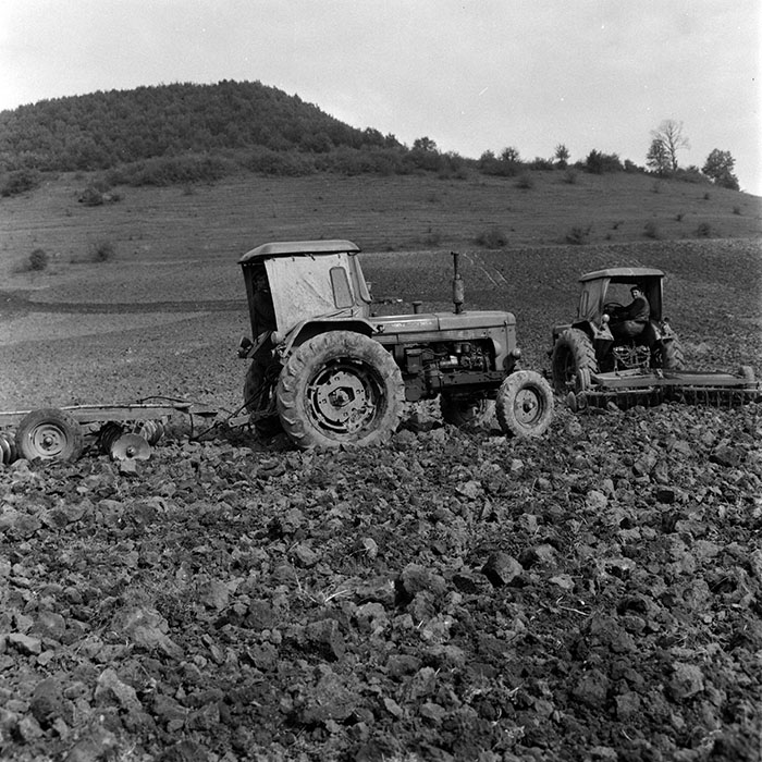 minerva_1970_Agrare_c1_c2r4_009