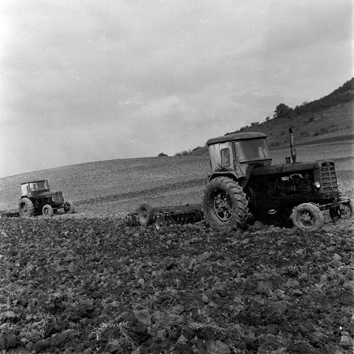 minerva_1970_Agrare_c1_c2r4_010