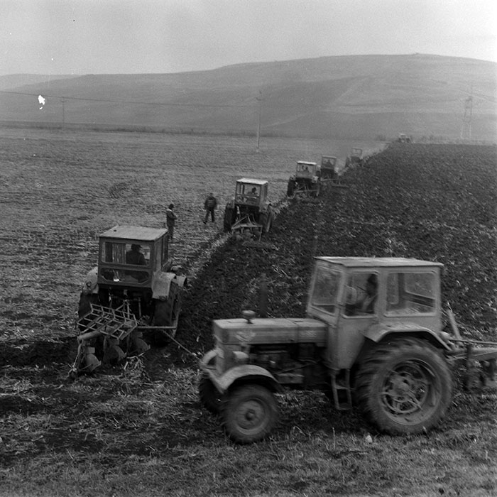 minerva_1970_Agrare_c1_c2r4_015