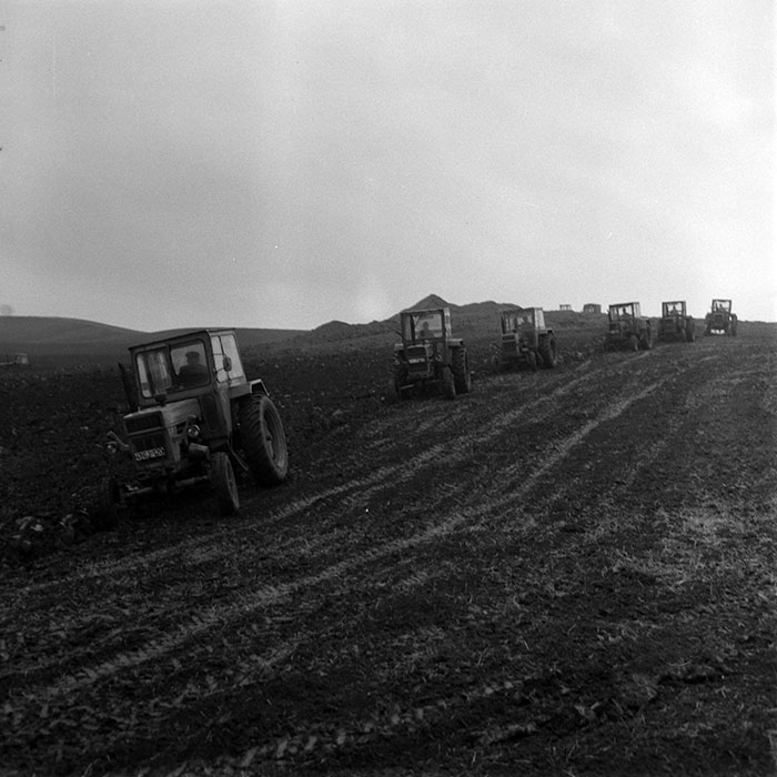 minerva_1970_Agrare_c1_c2r4_021