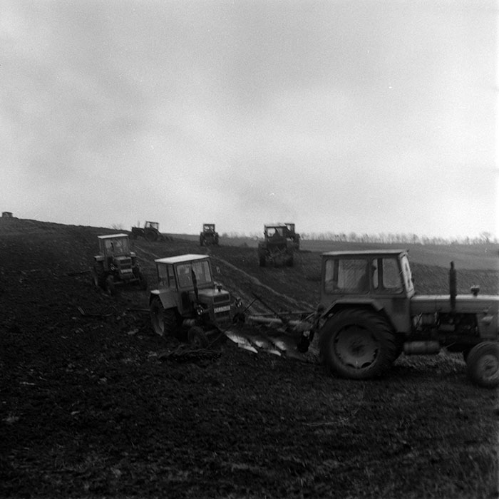 minerva_1970_Agrare_c1_c2r4_024