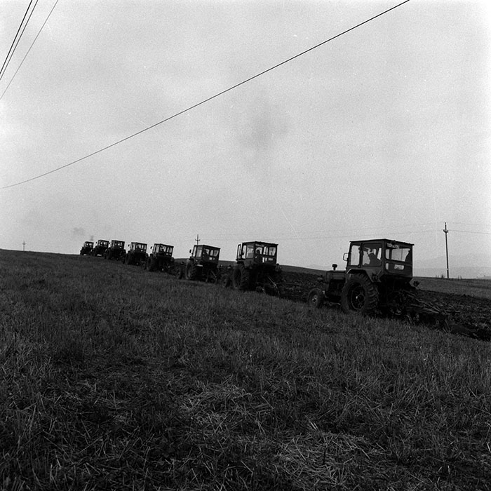 minerva_1970_Agrare_c1_c2r4_026