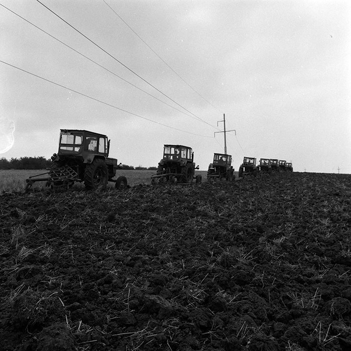 minerva_1970_Agrare_c1_c2r4_030