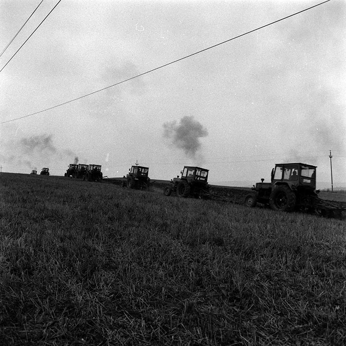 minerva_1970_Agrare_c1_c2r4_032