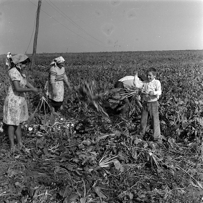 minerva_1970_Agrare_c1_c2r5_001