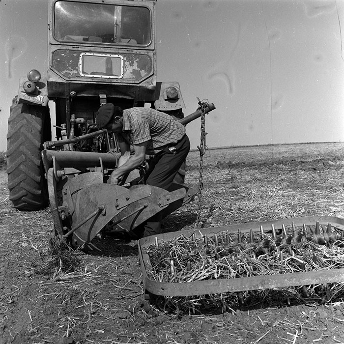 minerva_1970_Agrare_c1_c2r5_004