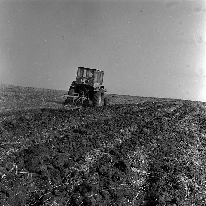 minerva_1970_Agrare_c1_c2r5_005