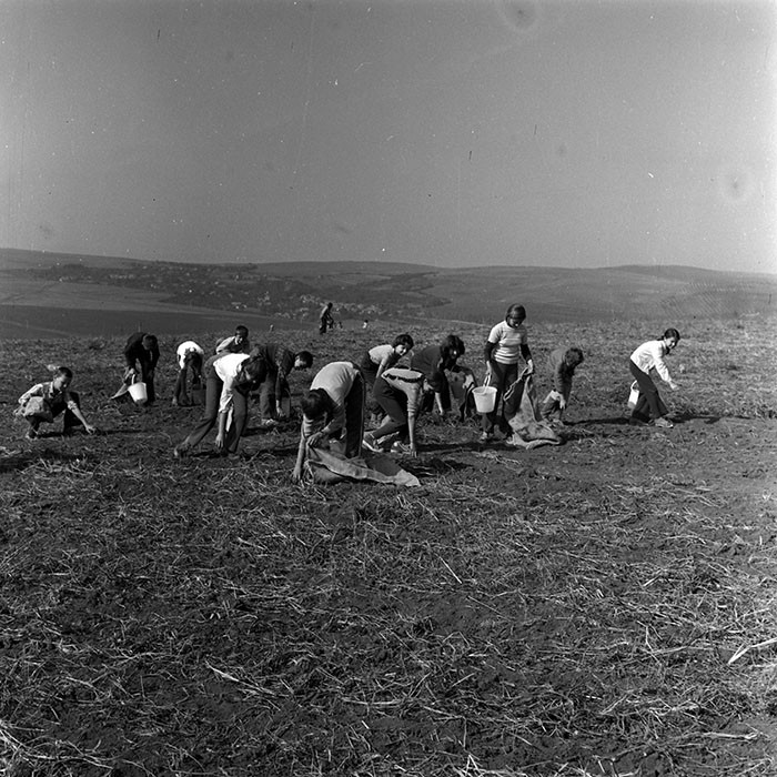 minerva_1970_Agrare_c1_c2r5_006