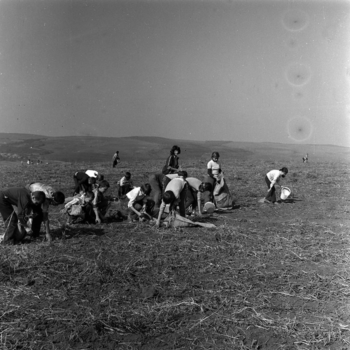 minerva_1970_Agrare_c1_c2r5_007