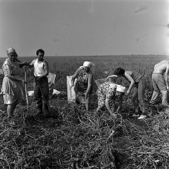 minerva_1970_Agrare_c1_c2r5_008