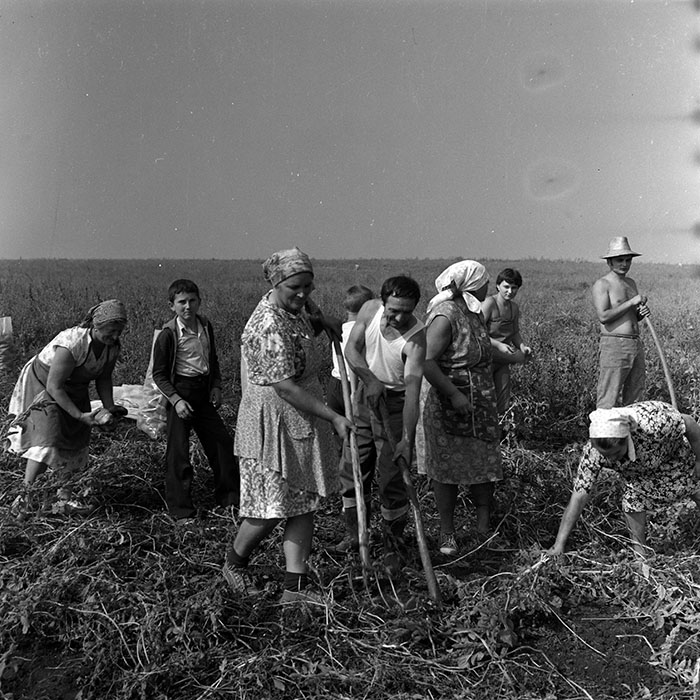 minerva_1970_Agrare_c1_c2r5_009