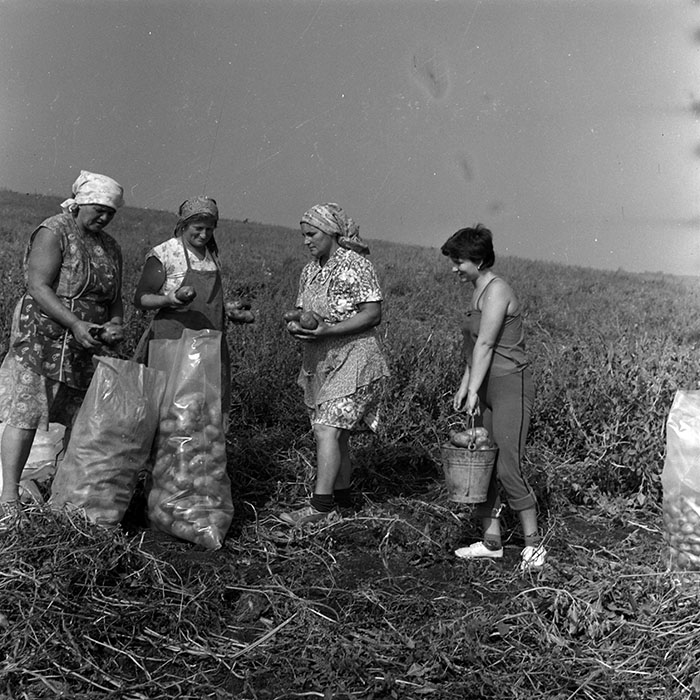 minerva_1970_Agrare_c1_c2r5_010