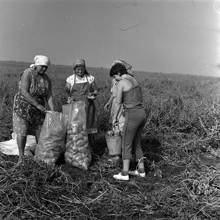 minerva_1970_Agrare_c1_c2r5_011