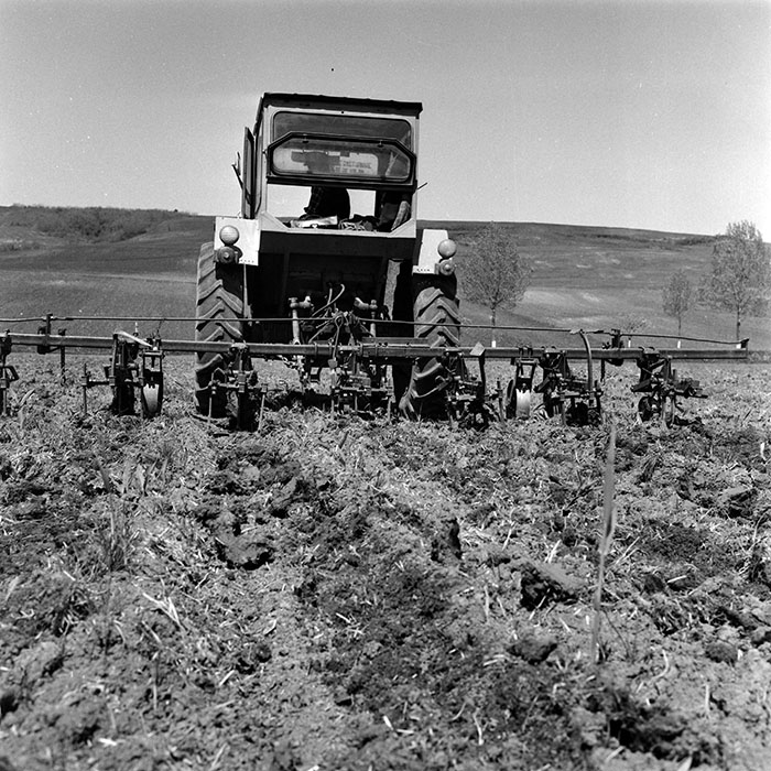 minerva_1970_Agrare_c1_c2r5_014