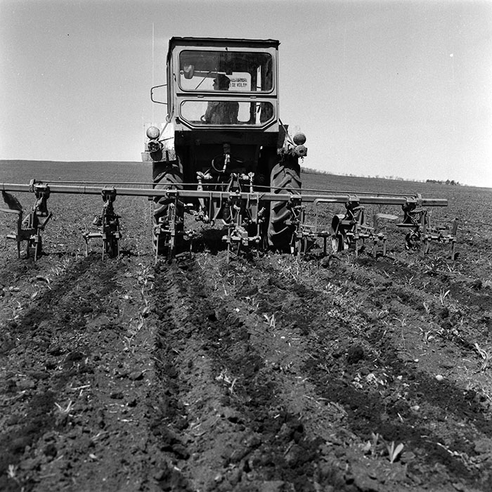 minerva_1970_Agrare_c1_c2r5_017