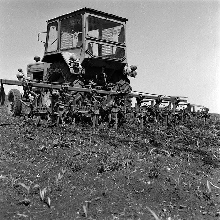 minerva_1970_Agrare_c1_c2r5_018