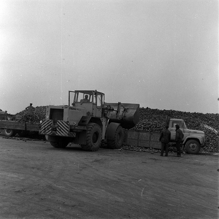 minerva_1970_Agrare_c1_c3r1_005