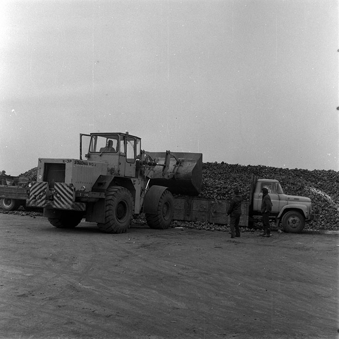 minerva_1970_Agrare_c1_c3r1_006