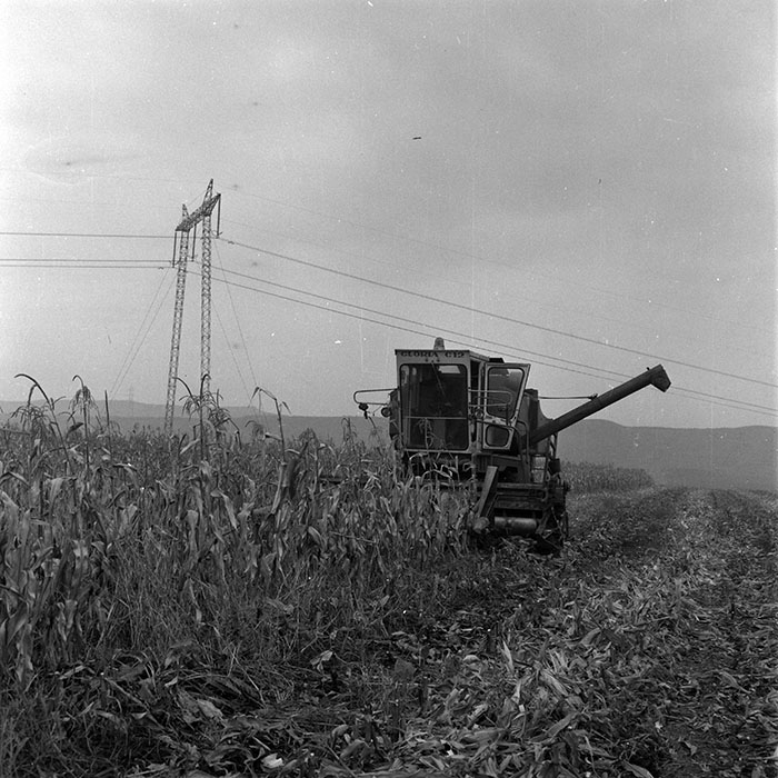 minerva_1970_Agrare_c1_c3r1_009